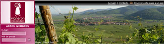 alsace-du-vin.com